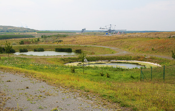 delta_A38 naturnahe Regenrückhaltebecken